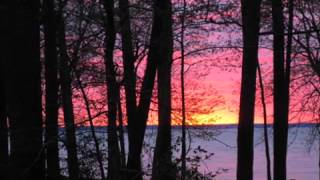 The Eagle by Steve Earle Segment