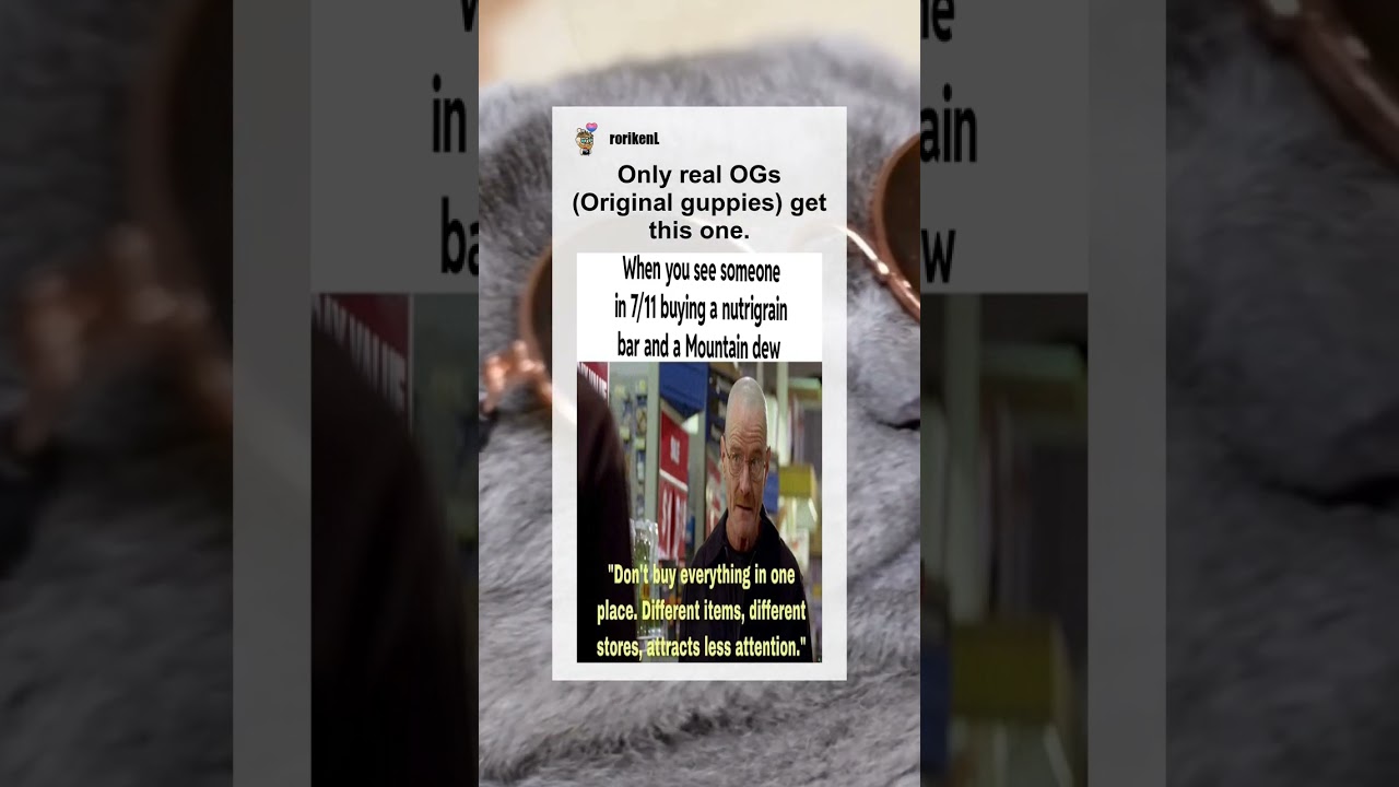 Only real OGs (Original guppies) get this one. #memes #meme #memesdaily