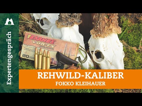 Everything about roe deer calibers: What you really need to know for hunting!