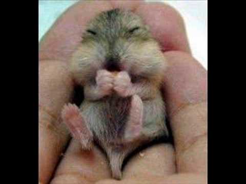 Miss Destiny - All Your Lies (DJ Fait Remix)