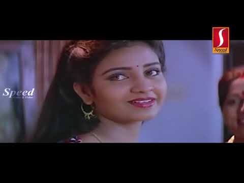 Rajavin Parvaiyile