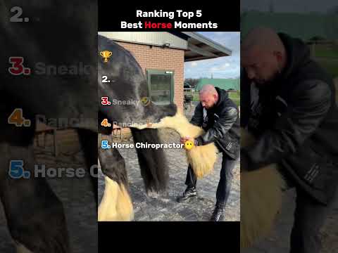 Ranking Too 5 Best Horse Moments 🤣