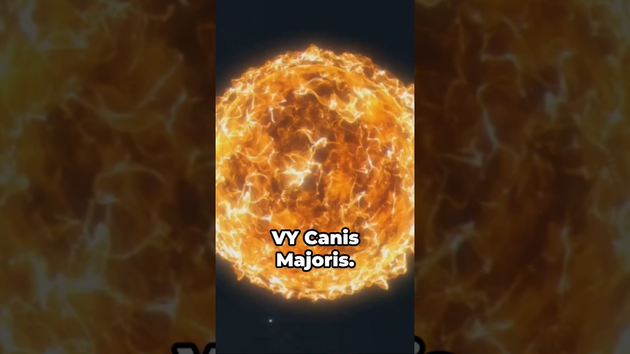 VY Canis Majoris - A Variable Star