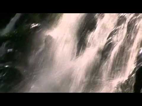 101st Commemoration of Ven. Hikkaduwe Sri Sumangala Thero (Part 05 0f 05)