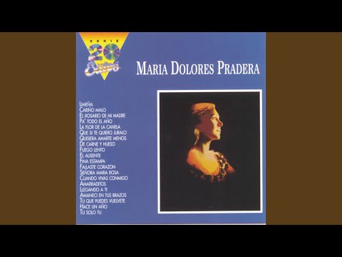 Quisiera Amarte Menos