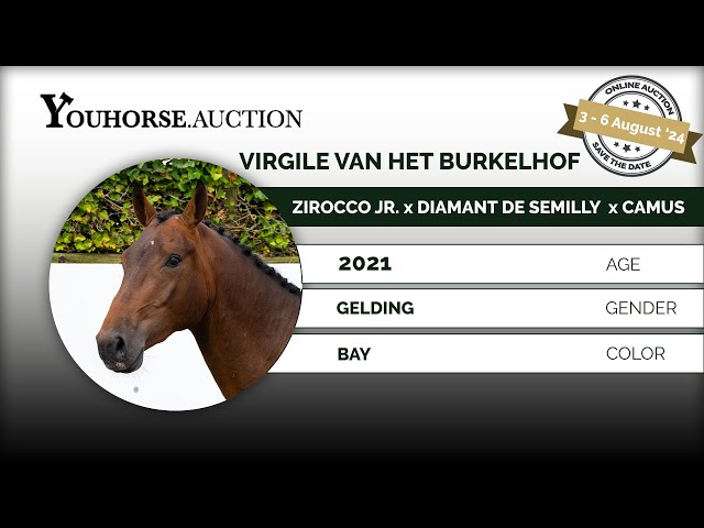 Virgile van het Burkelhof