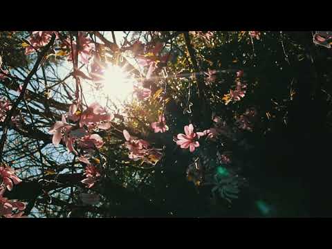 Tom Day & Laura Lethlean - Sorrow