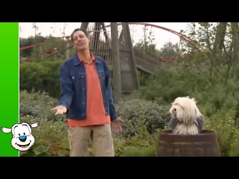 De Wereld Is Mooi video