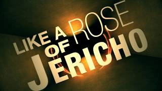 Rose of Jericho Music Video