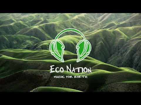 Odd Whirlwind - Roof | An Indie Pop Music 🎧