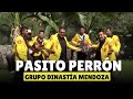Grupo Dinastía Mendoza - Pasito Perrón (Video Oficial) | Morena Music