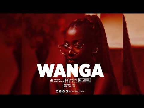 (FREE) Afro Beat x Dancehall Instrumental 2025 "WANGA"