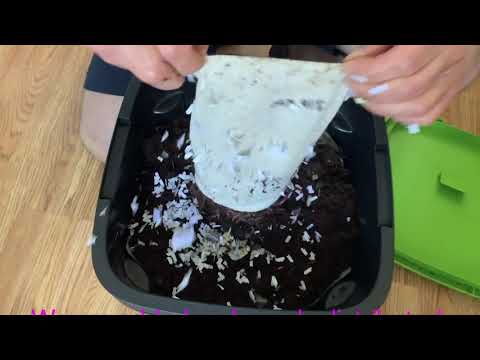 Worm Farm chefwellness