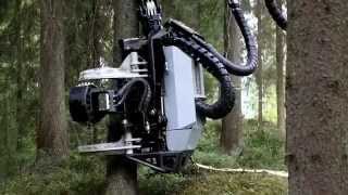 Kaaran Mia Pelttarin koeajossa Logsetin harvesteri