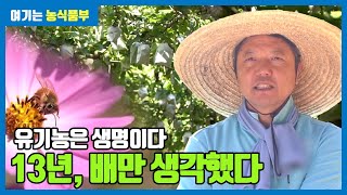 전국 30농가 중 하나인 파주 유기 배 농장 | 유기농은 생명이다