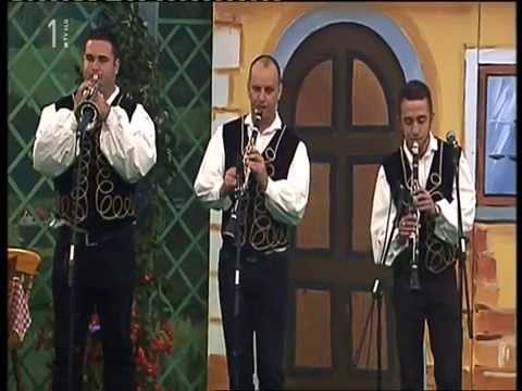 Zvuci zagorja - Polka Zagorskih lavova