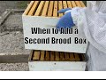 BEEKEEPING How To Add A Second Brood Box With Blake Shook
