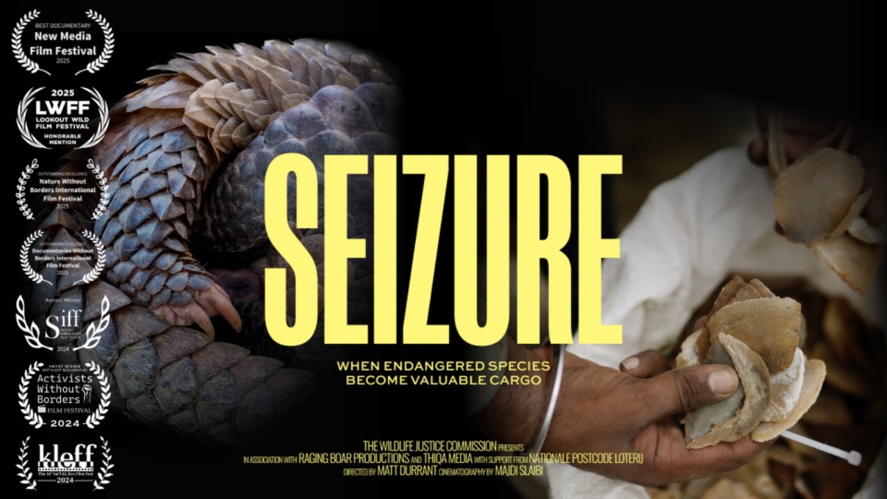 SEIZURE | Award Winning Wildlife Trafficking Documentary Short