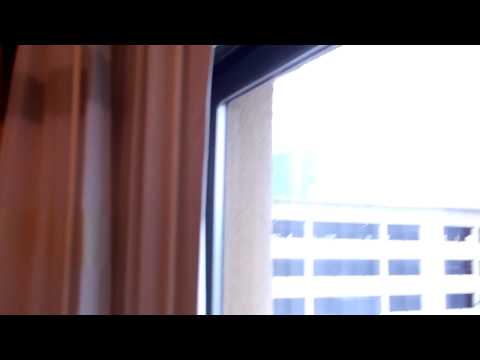 Pokemon National VGC 2013 team Gun-Leo Saturday