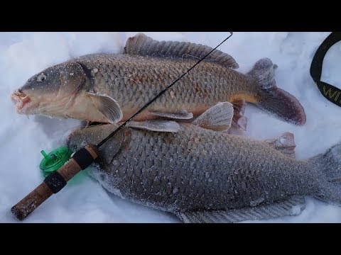 Вот это РЫБАЛКА! Я в шоке!!! САЗАН,ЛЕЩ,СУДАК,ОКУНЬ! зимой на балансир и комбайны(СПУСКНИКИ)