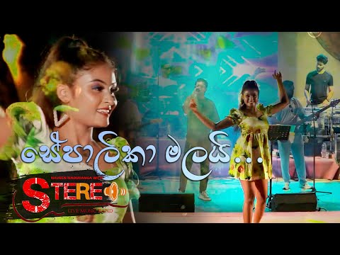 SEPALIKA MALAI | සේපාලිකා මලයි | Live Cover Isuru Weerapperuma | Mangalya mela 2