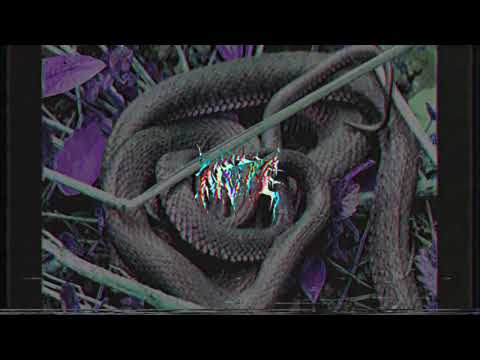 NVTE - VIPERS