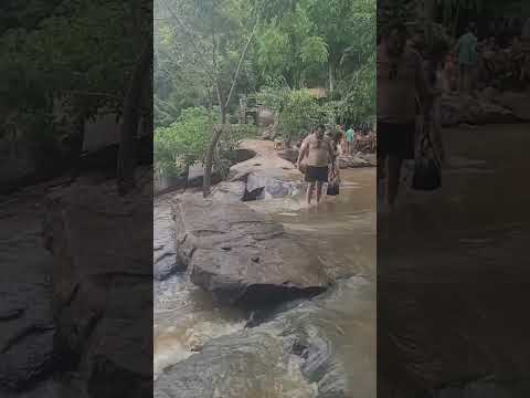 Roncador | Brejo Paraibano | #borborema #bananeiras #pirpirituba #pilões