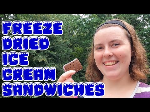 How to Freeze Dry Ice Cream Sandwiches – So GOOD!