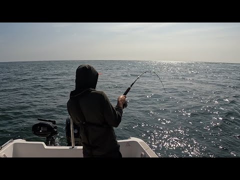 Lure Fishing for Bass, Pollack & Mackerel | First Trip on My New Boat