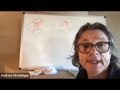 Andy Strominger - Asymptotic w infinity Symmetry of 4D Gravity