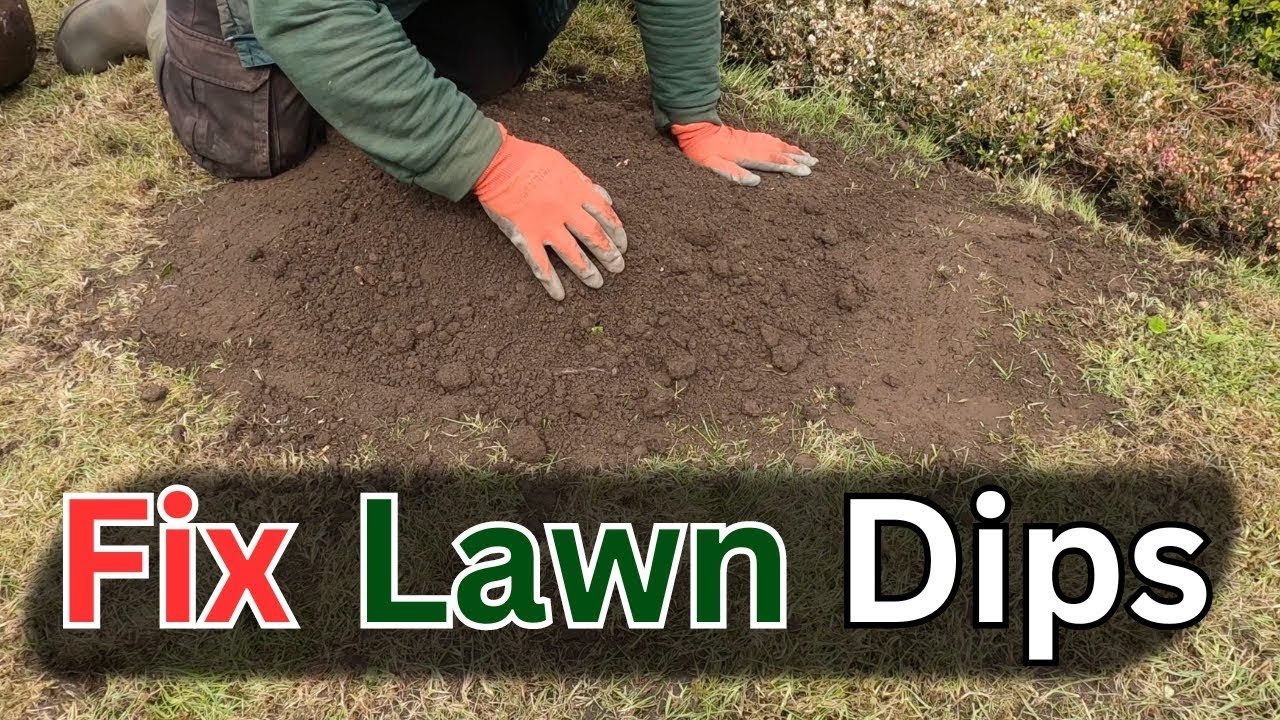 How To Fix Lawn Dips While Fixing Your Tired Lawn