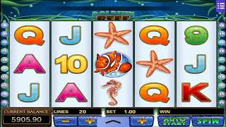 Download lagu Dolphin Reef mp3