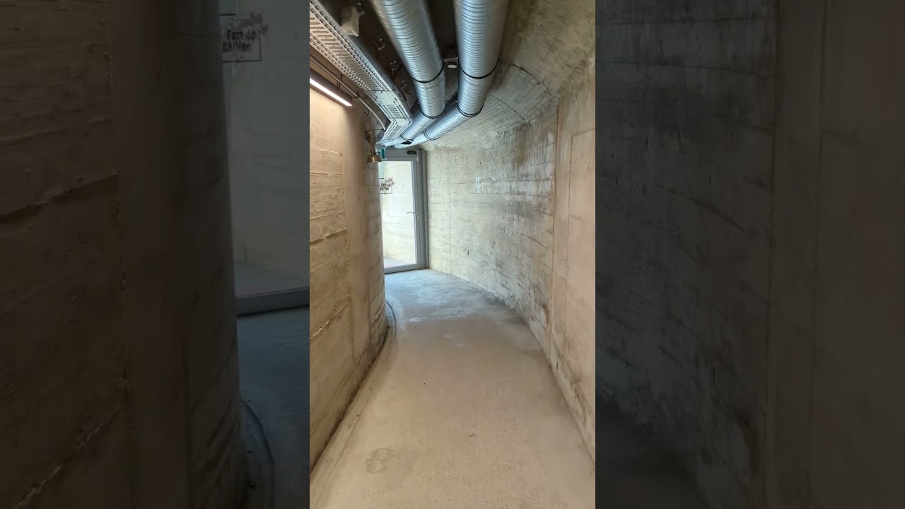 YouTube Short thumbnail