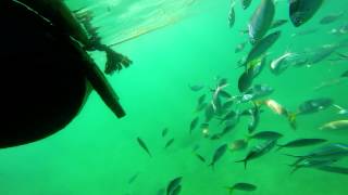preview picture of video 'GoPro HERO3+ Black: Snorkeling - Puerto Princesa, Philippines'