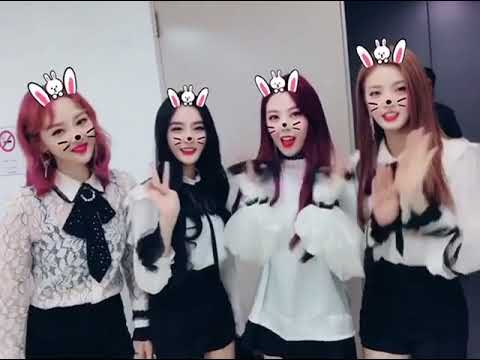 171114 D.ana, Nahyun, High.D & New Sun - Instagram Video
