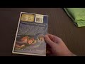 Return To Never Land DVD Overview