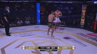 Thumbnail del capítulo