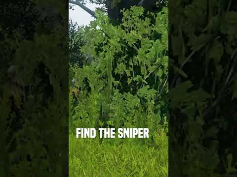 Why Camouflage is Overpowered in DayZ…