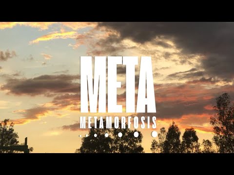 3.CAPO FENADI - Para Que El Sepa (Visualizer) | Metamorfosis