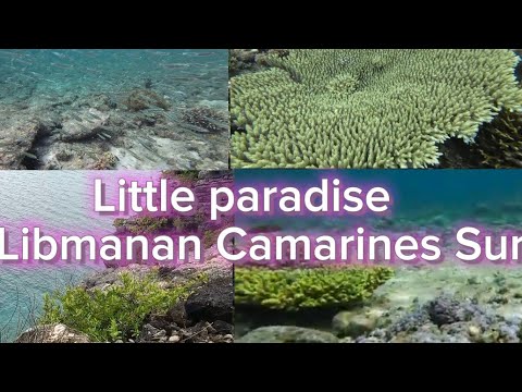 O pequeno paraíso em (PRAIA DA ILHA DE PORO) -LIBMANAN CAMARINES SUR