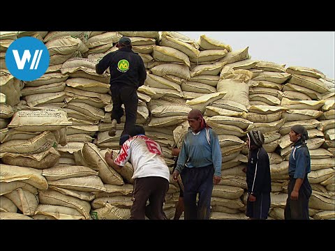 Guano - Treasure Islands and Bird Droppings (360° - GEO Reportage)