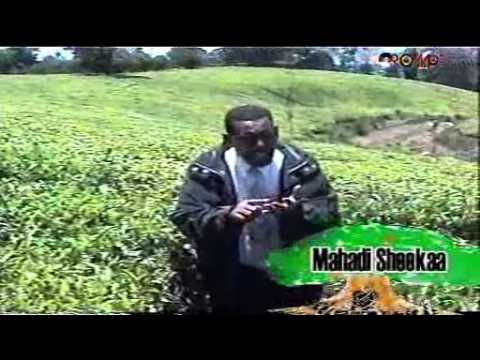 Mahdi Sheka - Dharri gooba baase (Oromo Music)