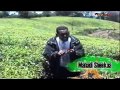 Mahdi Sheka Dharri Gooba Baase Oromo Music