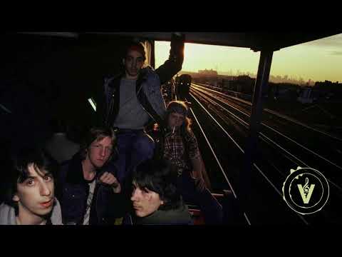 eukalypt - life impulse