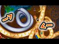 Killed The Rebel In The Vault Little Big Snake Io GAMEPLAY