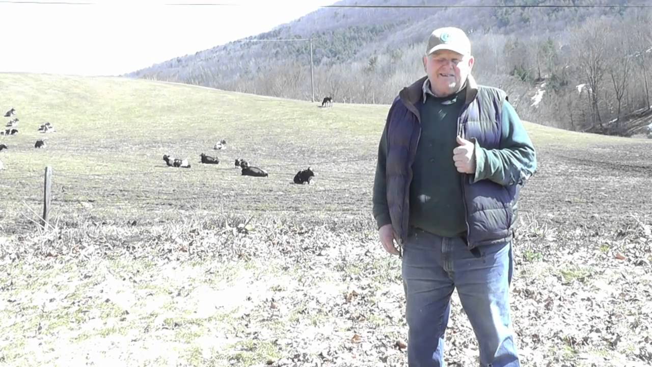 Bedlam Farm Diary, Vol. 2. The Family Farm. The Rouse Farm