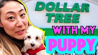 DOLLAR TREE WITH MY PUPPY 🐶!! (I Let My Puppy Buy Anything She Wants)