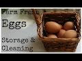Farm Fresh Eggs - Storage and Cleaning