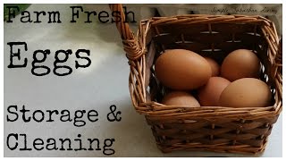 Farm Fresh Eggs - Storage and Cleaning