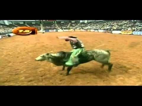 PBR THE BEST BULLS I